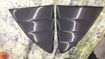 Picture of 11-18 BRZ FT86 GT86 FRS S Style Rear Window Louver