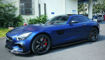 Picture of AMG GT Ren Style Side Skirt Extension